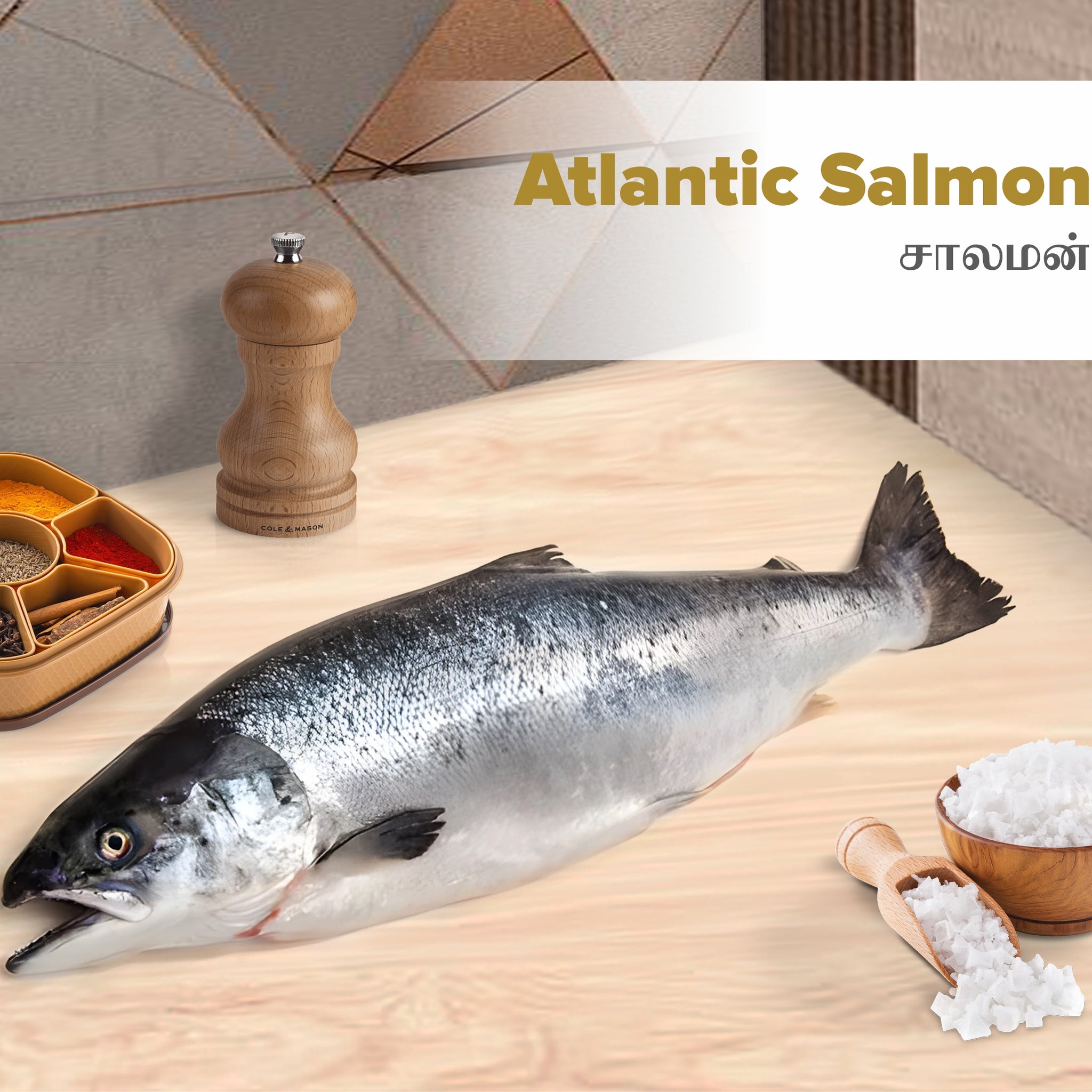 Norwegian Salmon / Atlantic Salmon