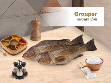 Grouper Fish | Kalava