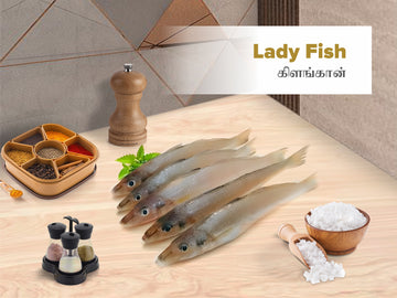 Lady Fish / Kilanga