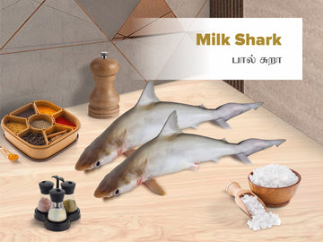 Milk Shark