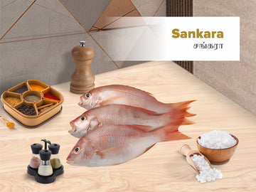 Sankara - 1 Inch Curry Cut