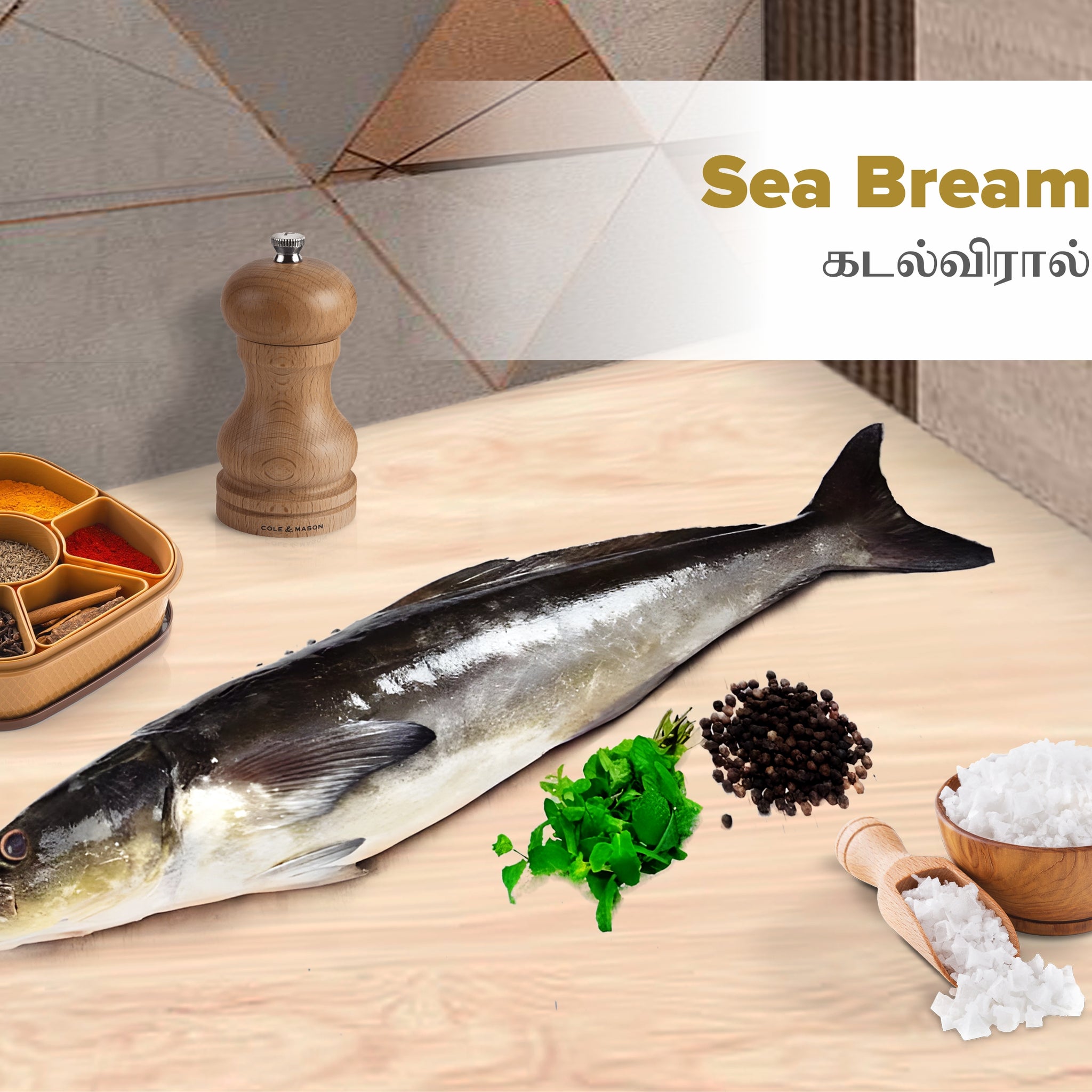 Sea Bream