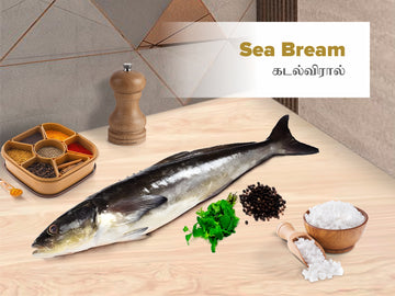 Sea Bream